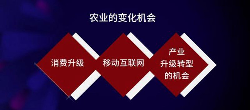 兴安盟工业互联网平台：数字化转型的新引擎