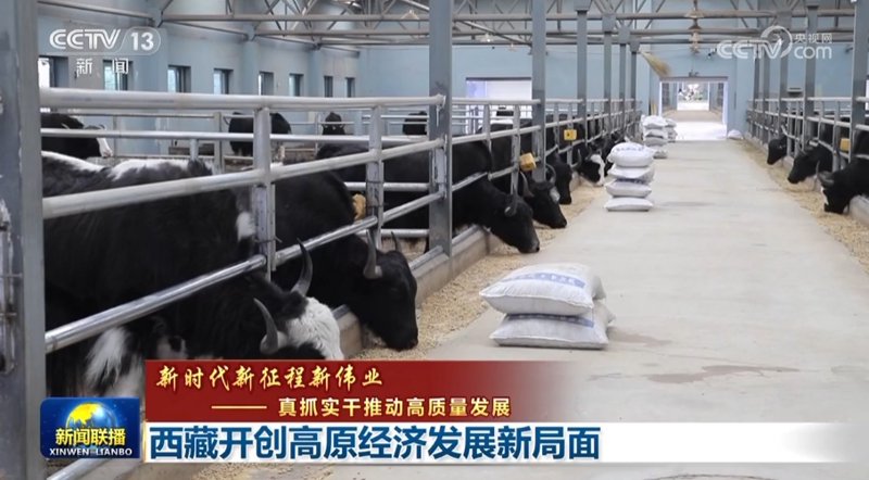 牛羊肉加工MES系统助力产业升级