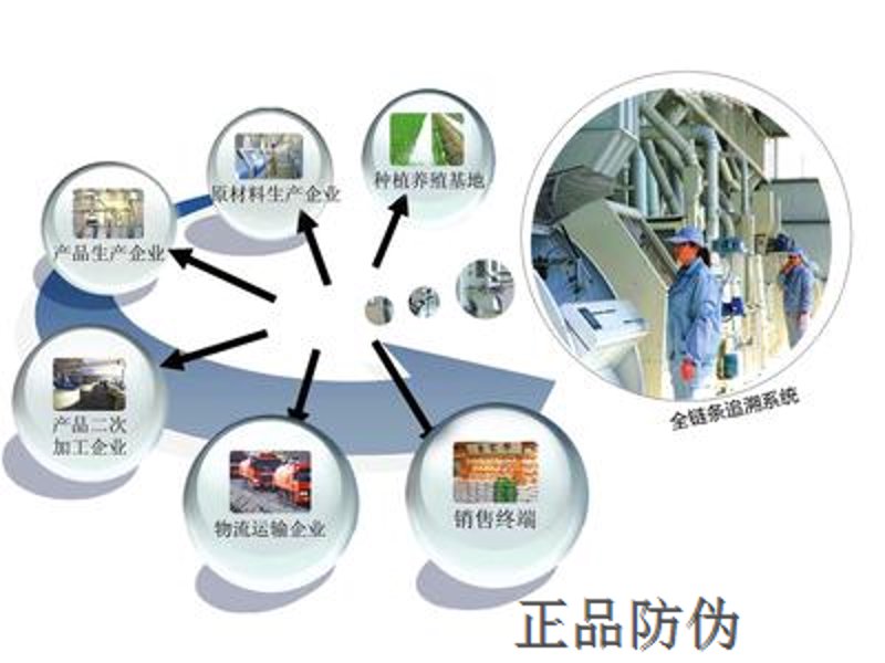 工业之花在兴安盟绽放—探索互联网与传统产业融合的新路径